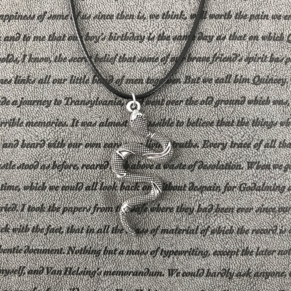 Silver Snake Boho Hippie Rope Pendant Necklace
